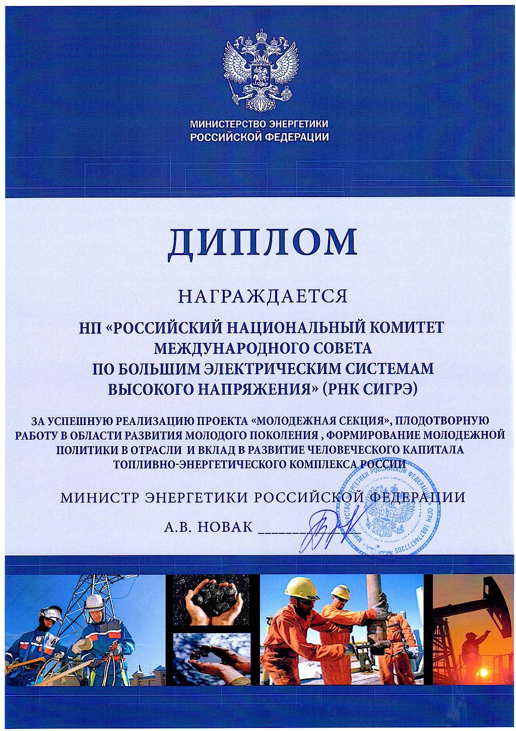 Дипломная работа по теме Энергетическая стратегия РФ Дипломная работа по теме Энергетическая стратегия РФ